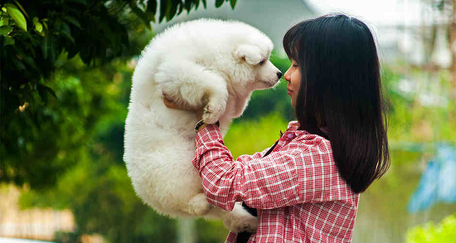 A woman wearing a red and white plaid shirt is holding up a small white fluffy dog to her nose