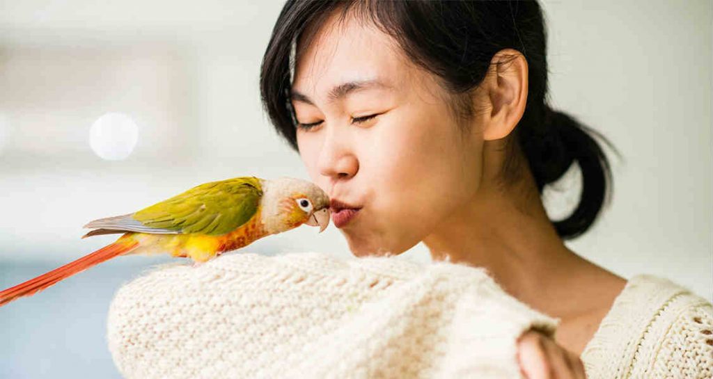 A woman kissing a green-cheeked conure on its head