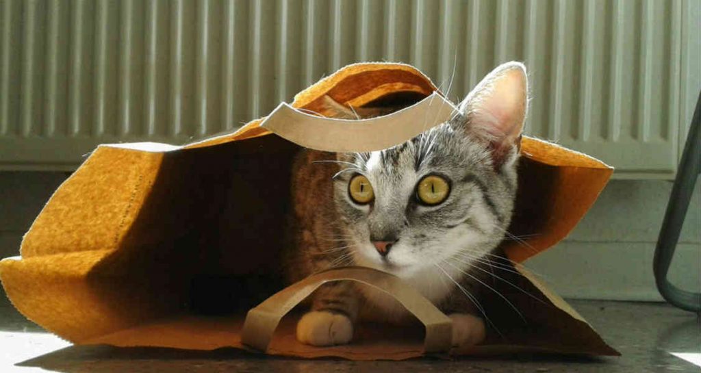 A cat with yellow eyes is sitting inside of a paper bag