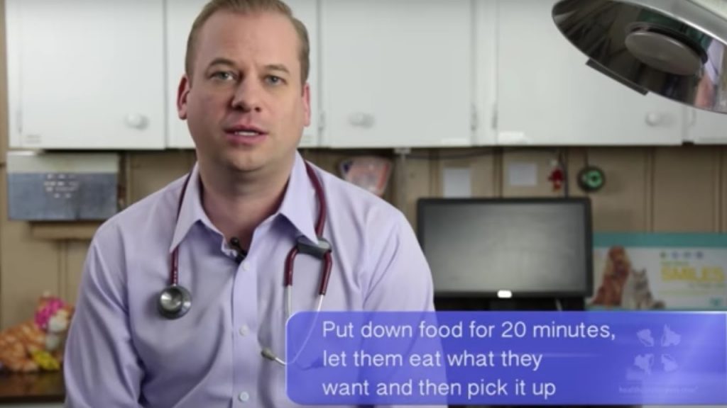 A male veterinarian discusses how to feed a puppy