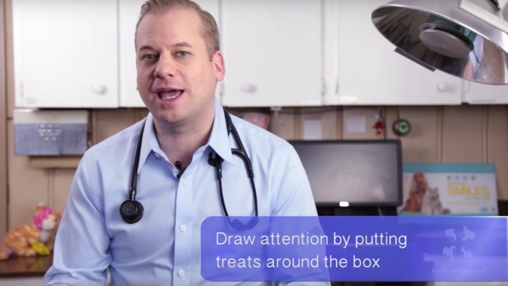 A male veterinarian discusses how to stop cats from urinating outside the litter box