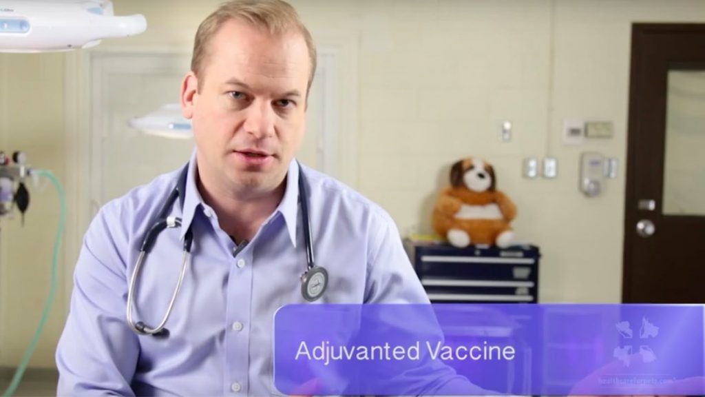 A male veterinarian discusses vaccine reactions in dogs and cats
