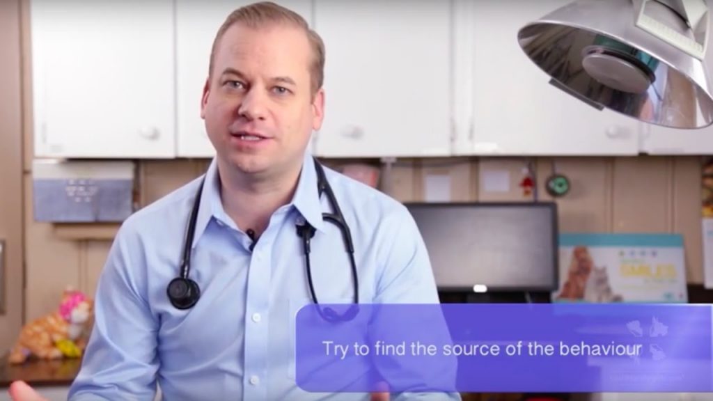 A male veterinarian discusses why cats urinate outside the litter box