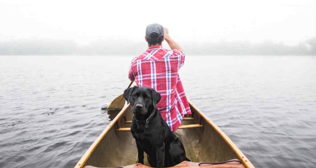 A black Labrador retriever is sitting upright in a canoe and a person wearing a red plaid shirt is paddling at the front