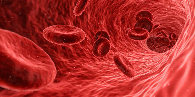 Red blood cells traveling through a blood vessel