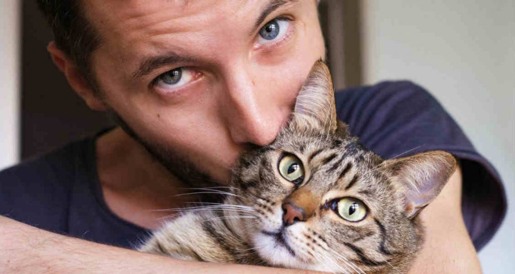 A man is holding a Tabby cat in his arms and kissing it on the head