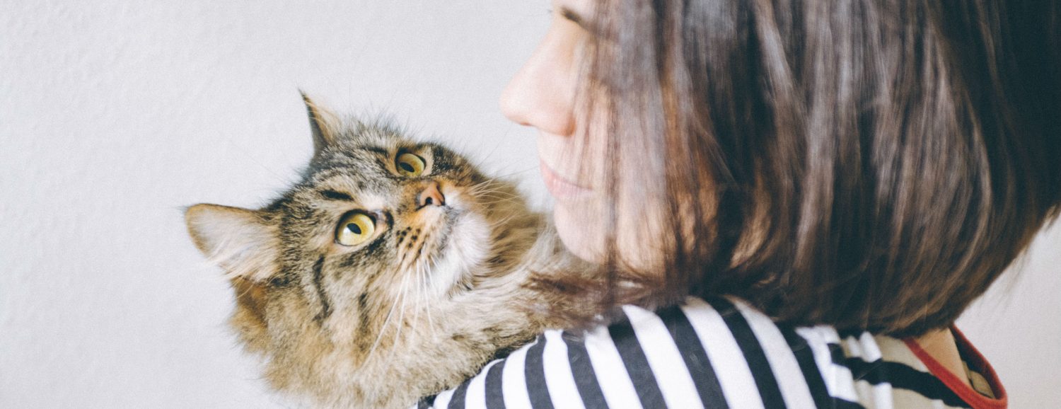 Can humans transmit feline gastroenteritis germs from clothes and infect a cat? Can humans transmit feline gastroenteritis germs from clothes and infect a cat?