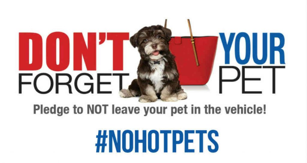 A #nohotpets campaign poster with a dog in the center about not leaving pets in hot vehicles