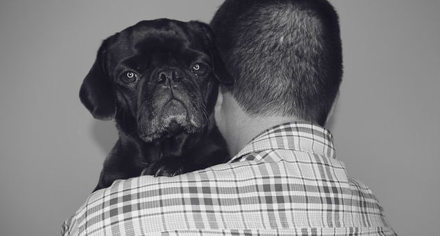 An owner holding a black Pug in their arms