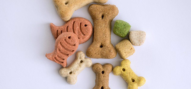 Different varieties of dog treats