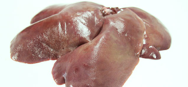 How much chicken and organ meat for dogs should be given in a homemade diet? How much chicken and organ meat for dogs should be given in a homemade diet?
