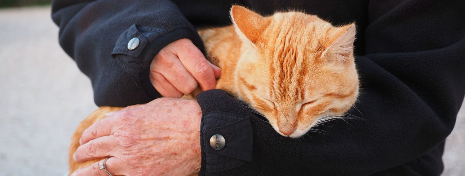 How do I know when it is time to say goodbye to my cat that is suffering from kidney disease and what are some treatments to consider? How do I know when it is time to say goodbye to my cat that is suffering from kidney disease and what are some treatments to consider?
