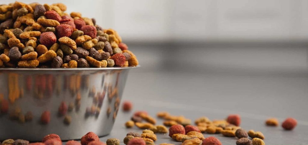 A steel bowl overfilled with multi-colored kibble that is scattered along the floor