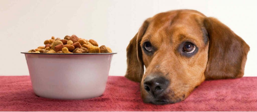 A dog resting its head on the table staring at a bowl of dry dog food