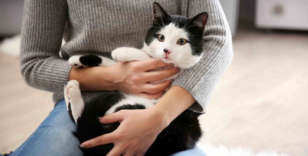 A woman holding a black and white cat in her arms