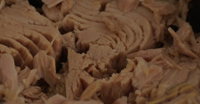 Can cats eat canned fish? How many calories should my cat eat? Can cats eat canned fish? How many calories should my cat eat?