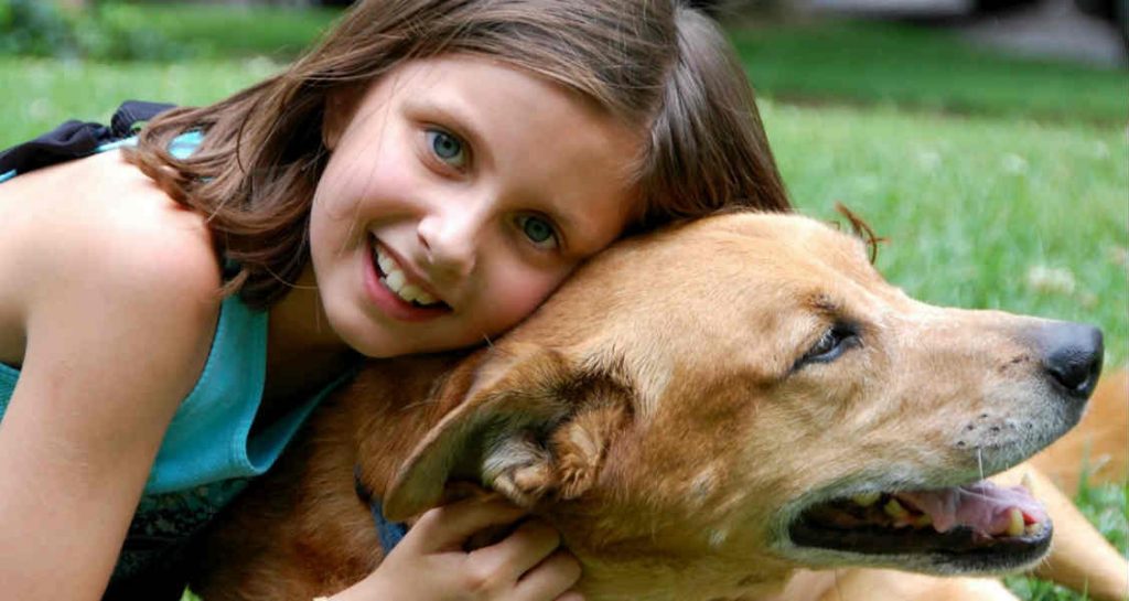 A girl is hugging a dog in the grass and is leaning her head towards the dog's head