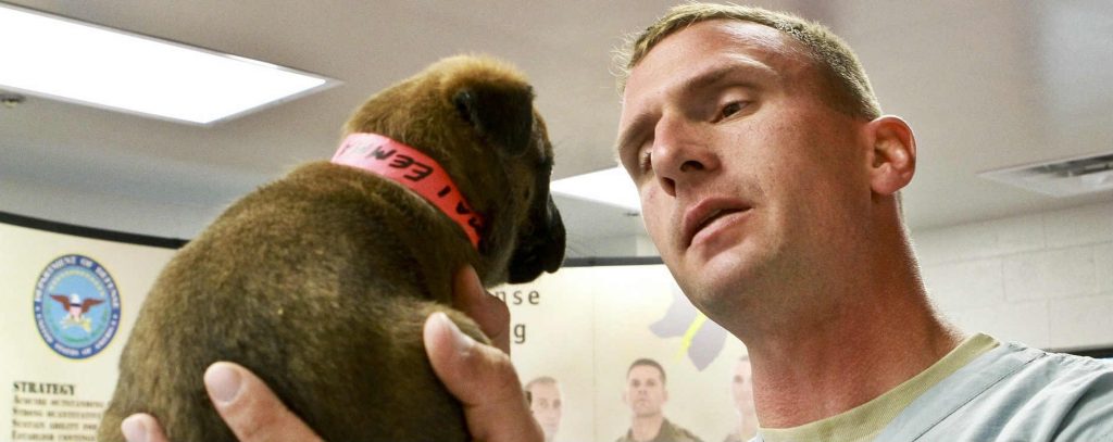 A veterinarian holding up a puppy