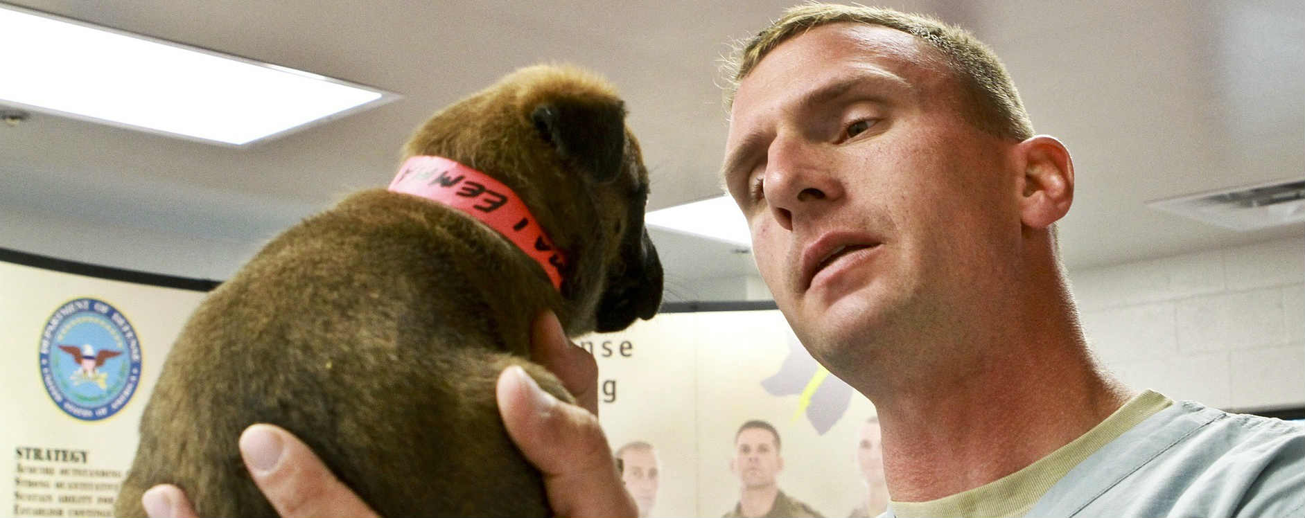 How do I find a veterinarian that is honest and right for me? How do I find a veterinarian that is honest and right for me?