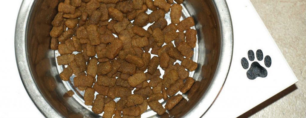 Dry dog food in a steel food bowl
