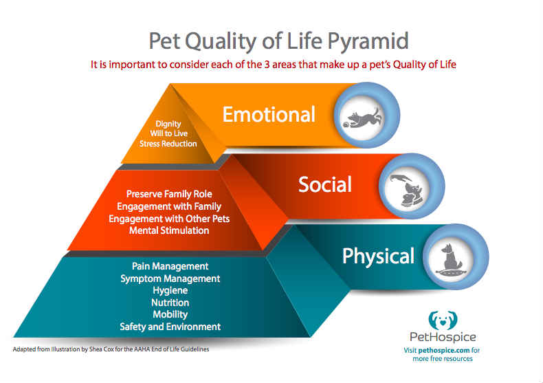 A pet quality of life pyramid showing three areas that make up a pet’s quality of life