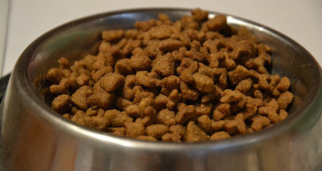 What is the healthiest dog food on the market?
