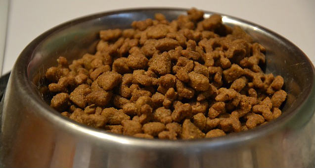 A bunch of kibble in a steel dog bowl