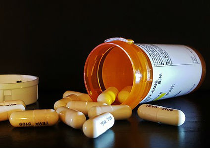 Gabapentin Drug Information for Dogs and Cats