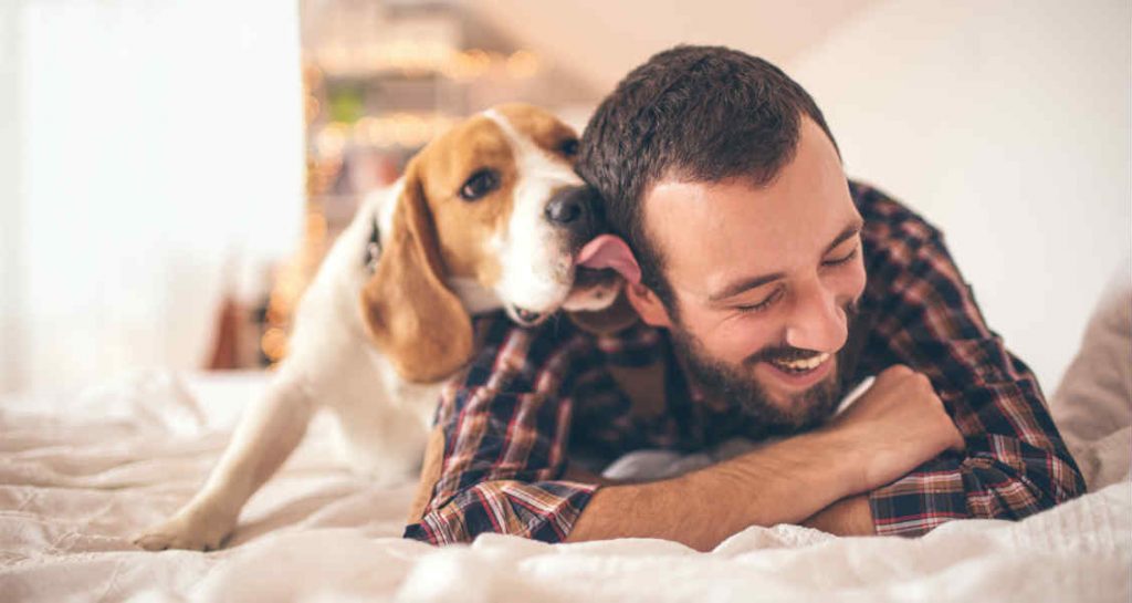 A dog licking an owner's ear who's smiling on a bed
