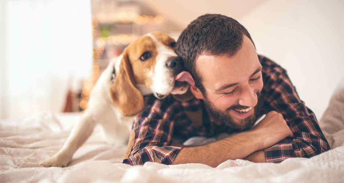 Helping an Adopted Dog or Cat Adjust to A New Home