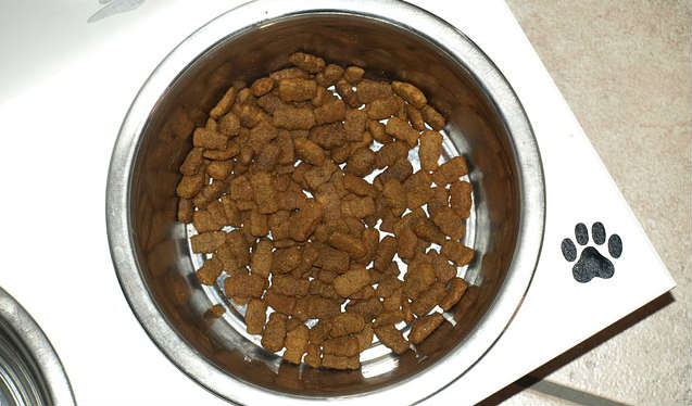 Kibble sitting in a steel dog bowl