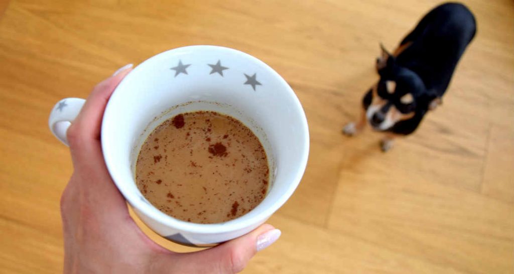 A dog looking up at a cup being held filled with coffee