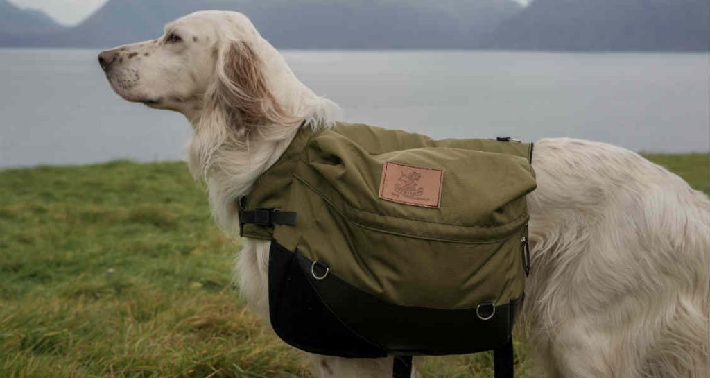 A dog standing outside on the grass near a body of water is wearing an army green storage vest