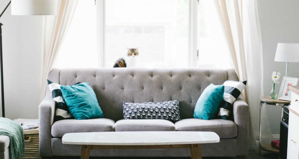 A calico cat with blue eyes is sitting upright behind a grey couch