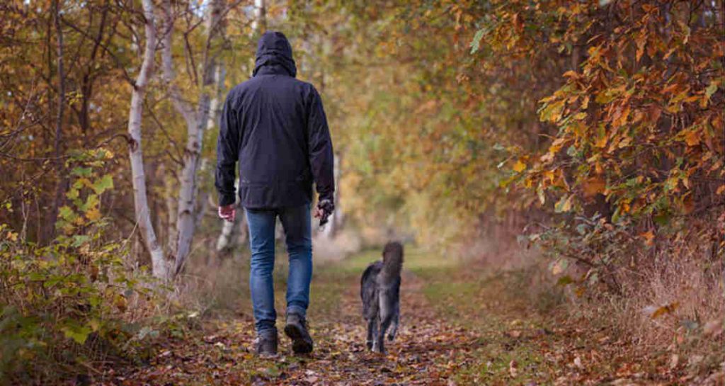 A man wearing a black coat is walking side by side with his dog along a trail during the fall