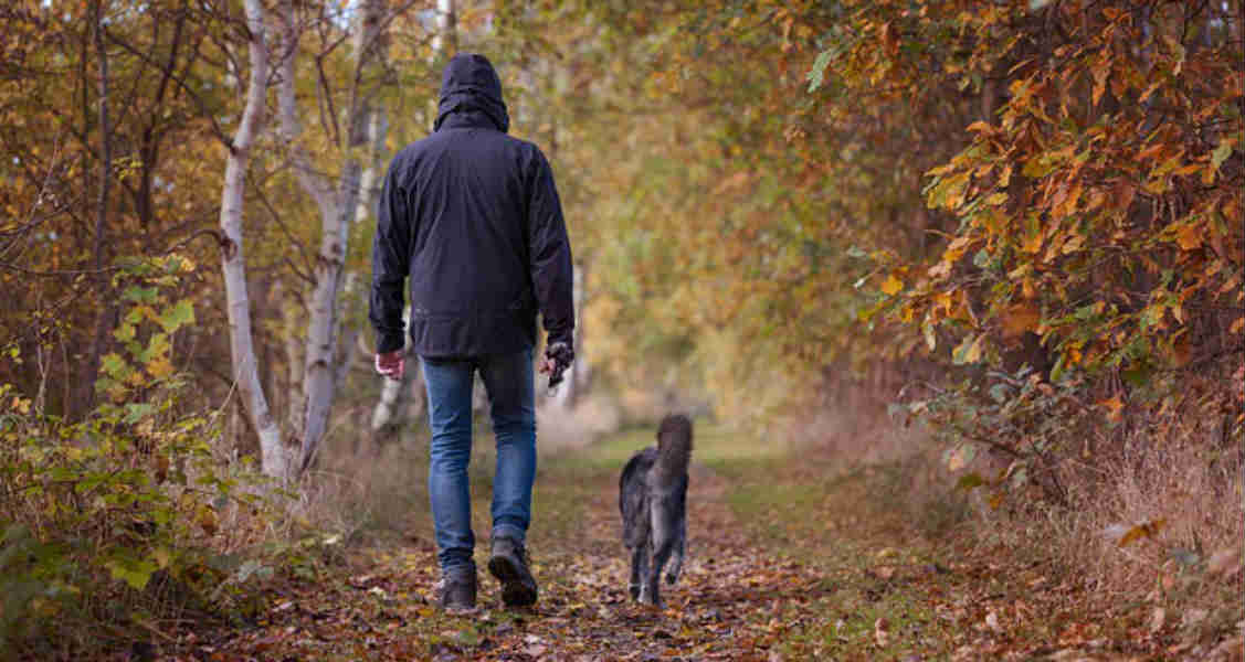 5 Benefits of Walking Your Dog