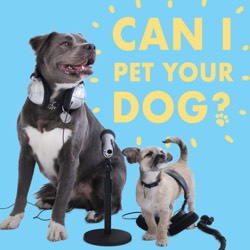 Can I Pet Your Dog podcast cover art