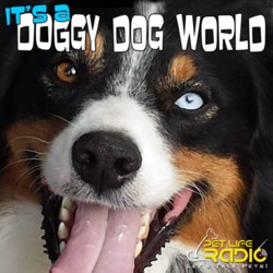 It's a Doggy Dog World podcast cover art