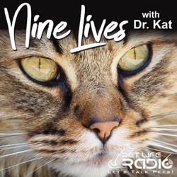 Nine Lives with Dr. Kat podcast cover art