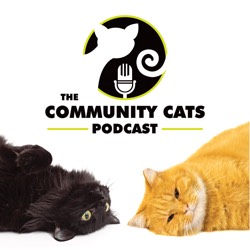 The Community Cats Podcast cover art