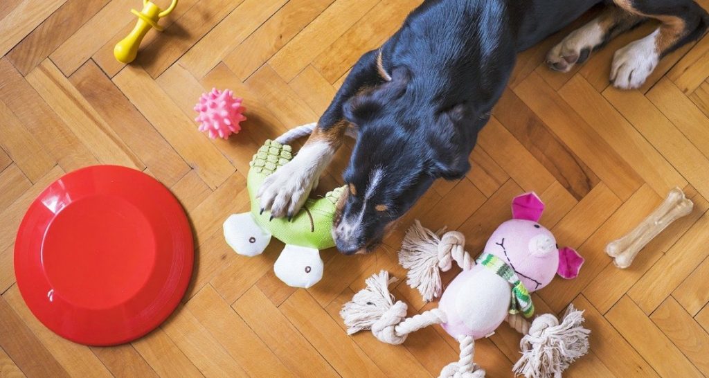 A dog is sitting on a wooden floor surrounded by toys while chewing a soft toy