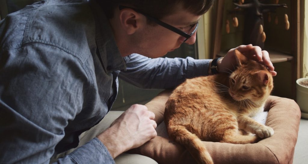 A man is petting an orange tabby cat on the head
