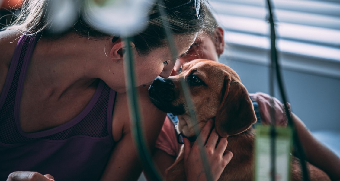 How do you know if you’re really getting your pet’s cremated remains back?