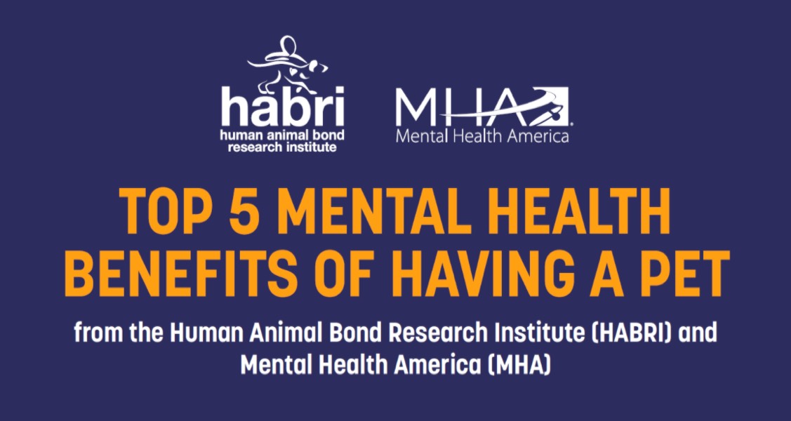 Top 5 Mental Health Benefits of Having a Pet