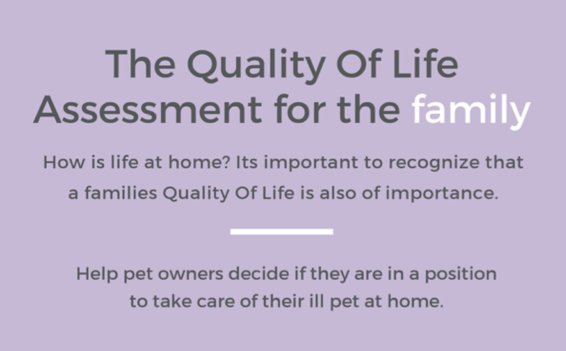 The Quality of Life Assessment for the Family