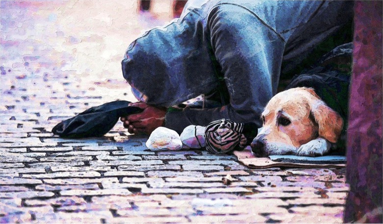 ‘This is the lifeline. This is the friend’: Why pets matter to homeless people ‘This is the lifeline. This is the friend’: Why pets matter to homeless people