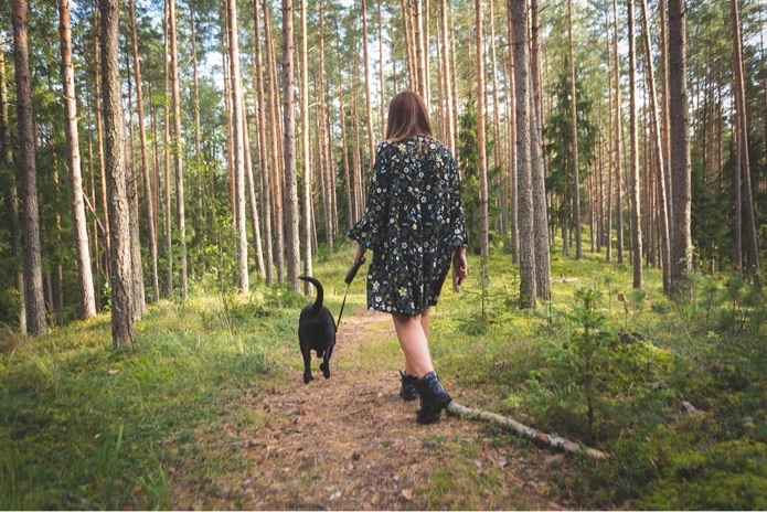 A woman is walking her dog in the woods