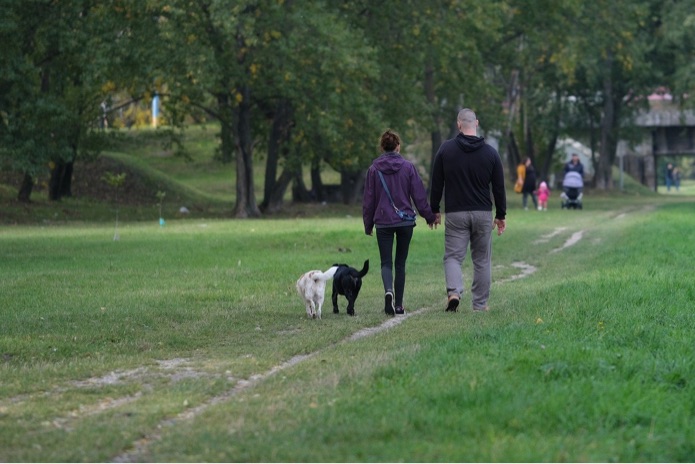 A couple is outside walking with their dogs