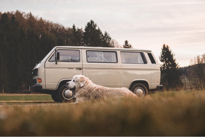 A dog is sitting outside beside a cream colored van