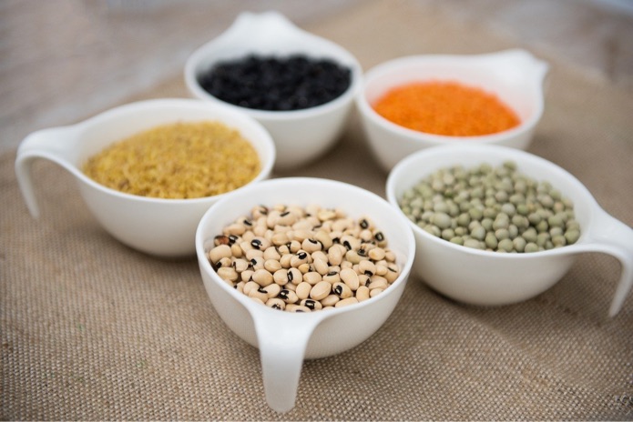 ‘The pulse of it:’ does pulse-inclusive dog food affect heart health? ‘The pulse of it:’ does pulse-inclusive dog food affect heart health?